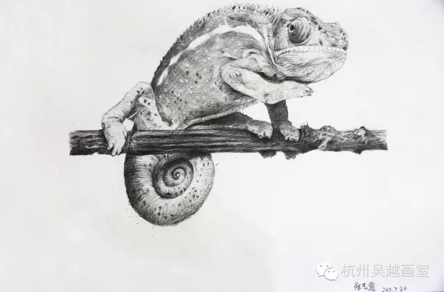 非高三班精微超写实素描课程汇报