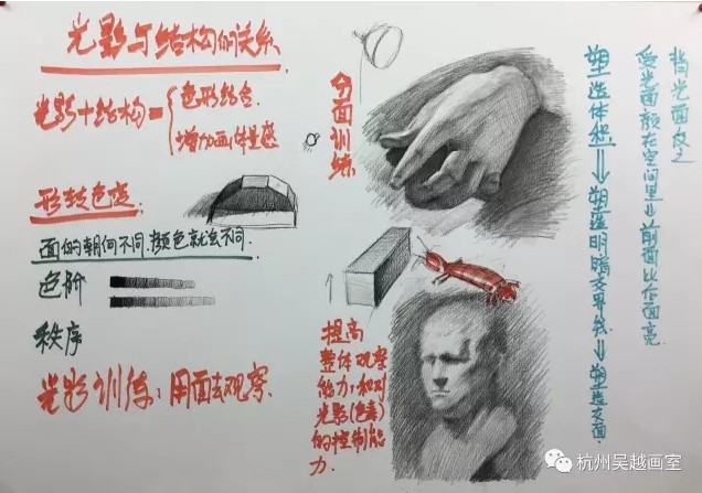 杭州吴越画室:线上教学主管蔡明,素描是造型艺
