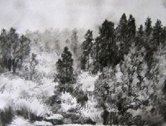 教师风景速写《树》