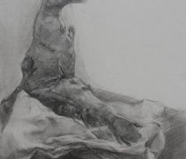 杭州吴越画室学生静物素描 树根