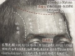 基础教程：人物头像分析