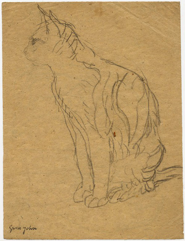 素描猫