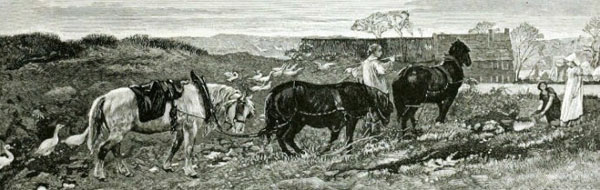 《 Staffordshier 的风光》(A Staffordshier Landscape),作者George Mason。