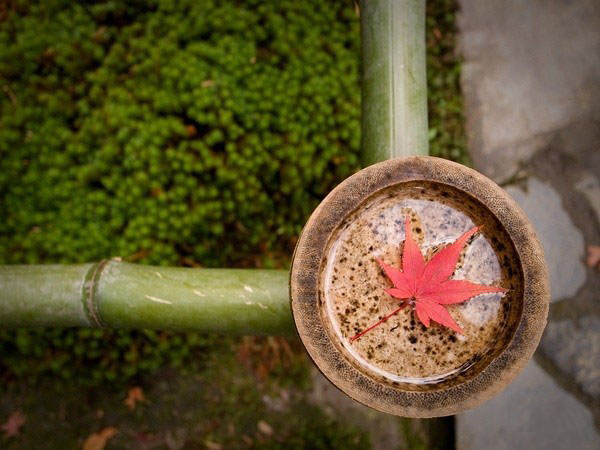 开门是海,关门是山14