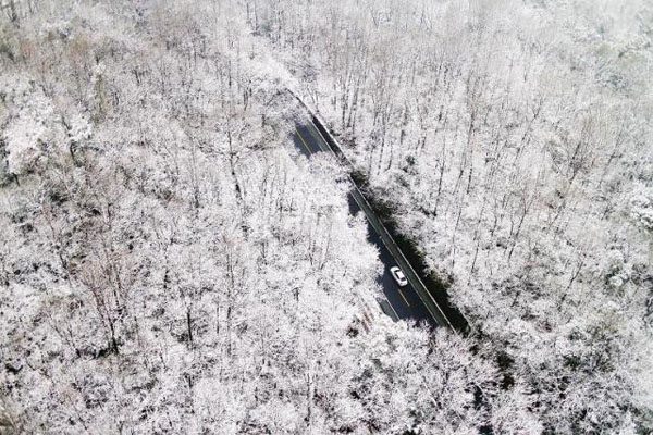 杭州初雪1