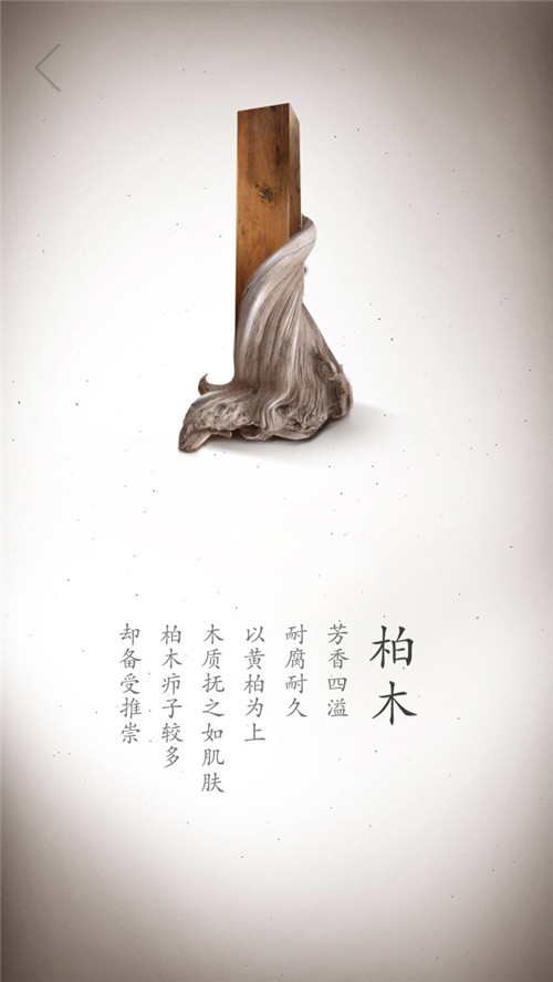 柏木