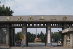 东北农业大学2015年艺术类专业招生简章