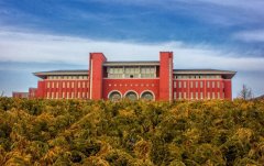 大连艺术学院2015年艺术类专业招生信息