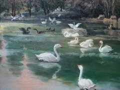 教师色彩风景作品《鹅》