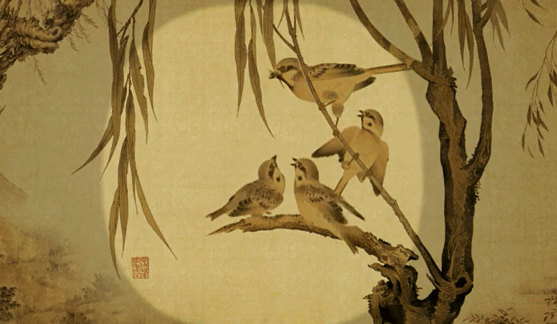 小鸟动图
