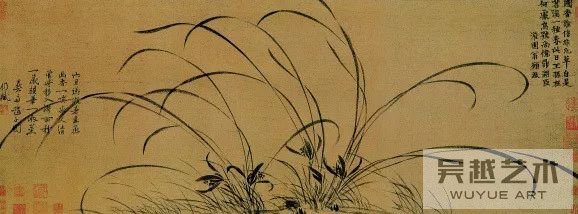 兰花